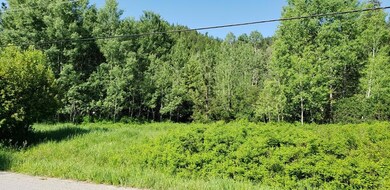 Nhn Pioneer Rd, Libby, MT 59923 - photo 2