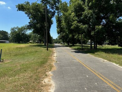 0 Haralson St unit 137599, Rebecca, GA 31783 - photo 6