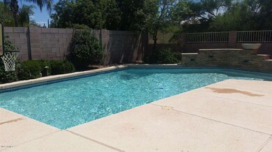 Backyard new