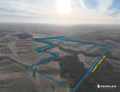 290th Street, College Springs, IA 51637 - photo 4