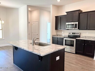 lot 47 kitchen 4