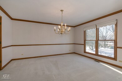 3727 De Foe Ct, Naperville, IL 60564 - photo 6