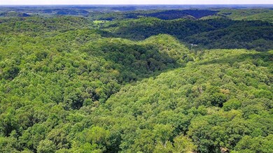 1337 Highway 64 W, Shelbyville, TN 37160 - photo 7