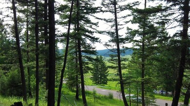 246 Bison Cir, Kalispell, MT 59901 - photo 3