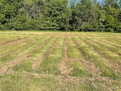 121 Red Barn Ln, Defiance, MO 63341 - photo 3