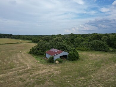 14.1 ACRES County Road 2230, Mineola, TX 75773 - photo 6