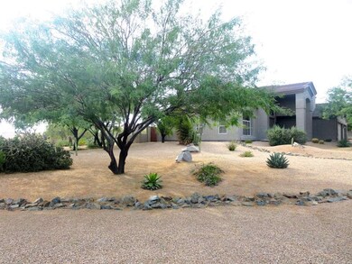 Front yard south side