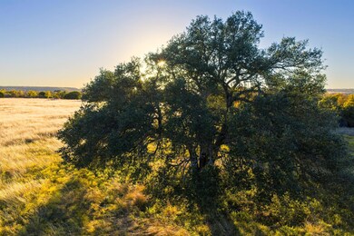 TBD County Road 511, Hamilton, TX 76531 - photo 5