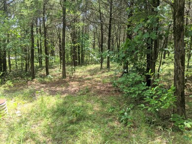 Lot  9 and Road