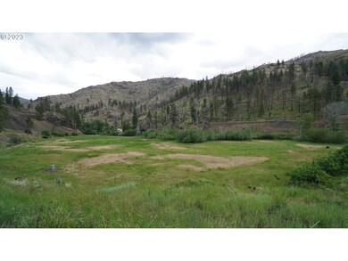 24954 Hwy 395 S, Canyoncity, OR 97820 - photo 4