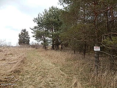 DSCN4649