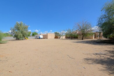 Backyard 2
