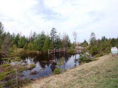 Wooded part at Rd