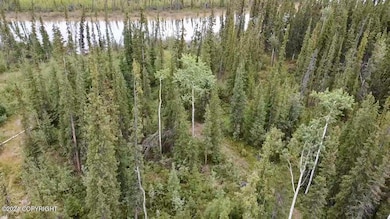 1327.6 B2 Alaska Hwy, Tok, AK 99780 - photo 6