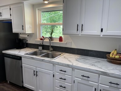 New Sink/Fixtures