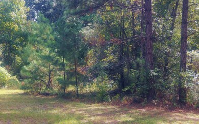 3156 NW Moore Rd, Lake City, FL 32055 - photo 6