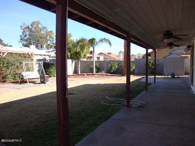 Back Yard and Patio