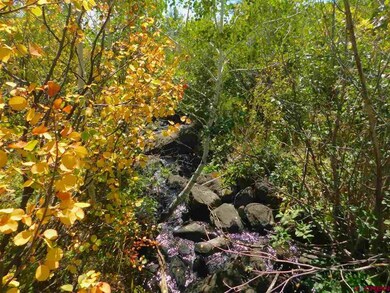 Lot 12 Aspen Hills Rd, Cedaredge, CO 81413 - photo 6