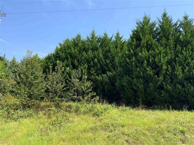 0 Cordele Hwy unit Tract 2 215622, Hawkinsville, GA 30451 - photo 3