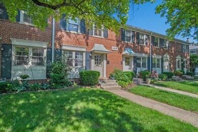 11-web-or-mls-DSC07237