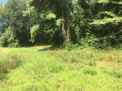 0 Mohawk Trail, Hawley, MA 01339 - photo 2