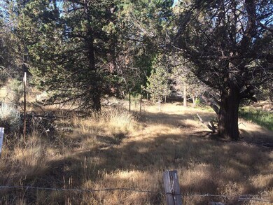 65541 Tweed Rd, Bend, OR 97703 - photo 4