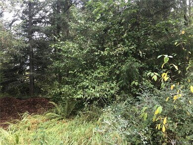 13232 Rocking South Ln SE, Yelm, WA 98597 - photo 4