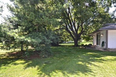 Rear Yard
