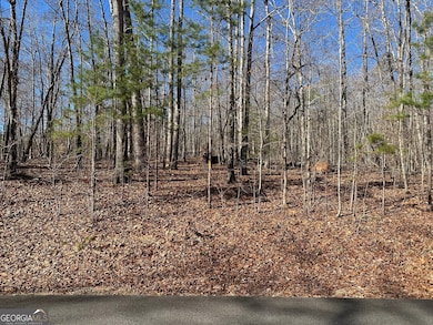 275 Shore Crest Dr, Martin, GA 30557 - photo 2