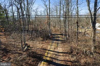 611 Haycock Run Rd, Kintnersville, PA 18930 - photo 3