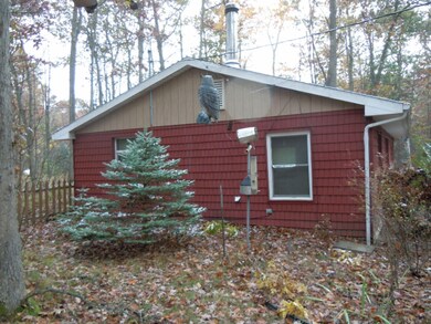 1112 W Woodland Park Dr, Bitely, MI 49309 - photo 4
