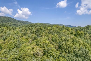 0 Waters Rd, Laurel Blmry, TN 37680 - photo 5