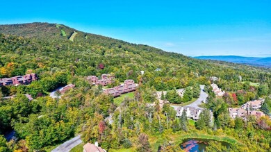 38 Clover Ln unit 761-B, Peru, VT 05152 - photo 5