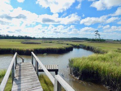 Community Dock