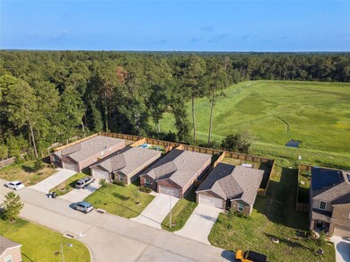 22730 Steel Blue Jaybird Dr, Hockley, TX 77447 - photo 6