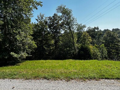 Lot 91 Land Photo