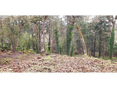 0 Stonecrest Dr unit 21656175, Eugene, OR 97401 - photo 7