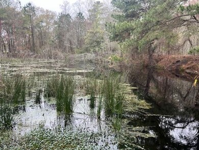 Jim Meeks Rd, Nicholls, GA 31554 - photo 5