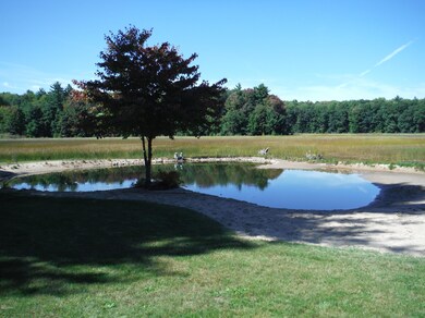 pond facing west