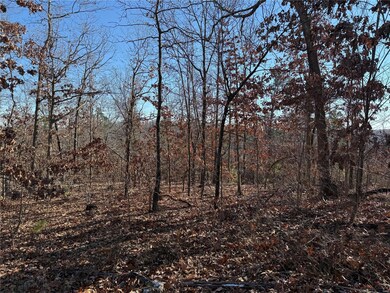 1 Rd, Fredericktown, MO 63645 - photo 2