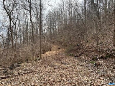 Walk the old logging road to several potential hom