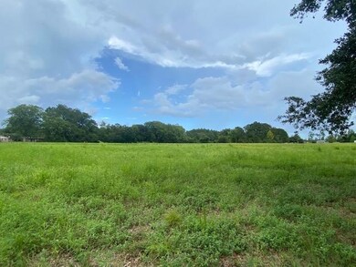 Lot 2A Antioch Rd, Conway, SC 29527 - photo 7