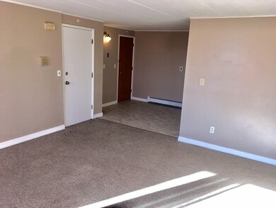 18 Nelson Dr unit 3H, Randolph, MA 02368 - photo 7