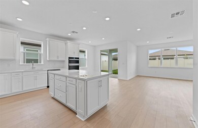 33251 Binding Ties Ln, Wesley Chapel, FL 33545 - photo 4