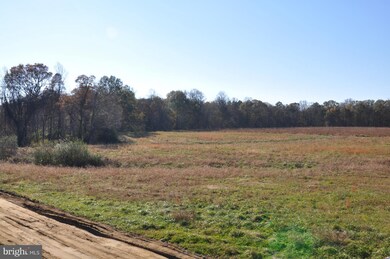 8415 Rock Hall Rd, Chestertown, MD 21620 - photo 7