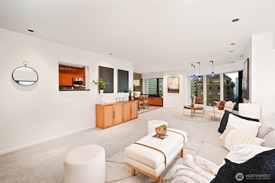 Window from kitchen opens up to living area