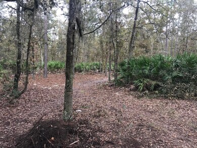 3920 June Bug Ln, Middleburg, FL 32068 - photo 4