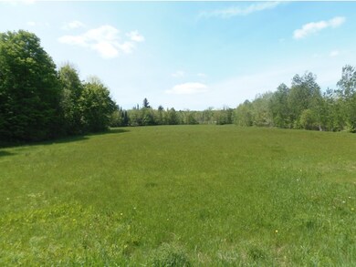 Gorgeous pasture