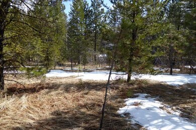 4 Blue Spruce Place unit 6, Cascade, ID 83611 - photo 6