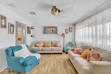 312 Kelvin Ave, El Paso, TX 79915 - photo 7